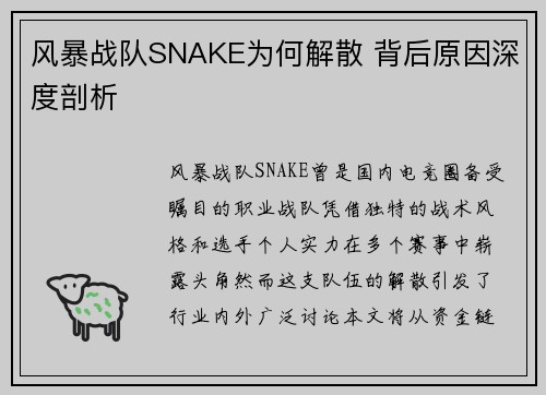 风暴战队SNAKE为何解散 背后原因深度剖析