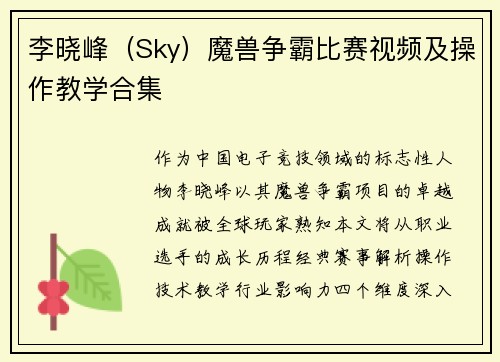 李晓峰（Sky）魔兽争霸比赛视频及操作教学合集